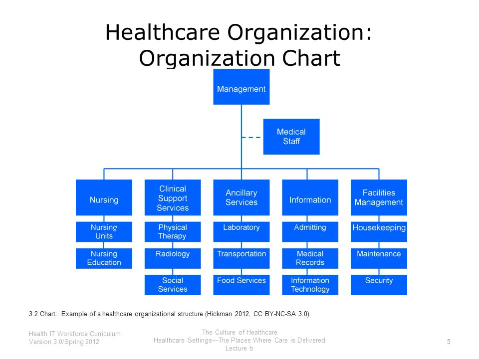 Parallel healthcare organization structure